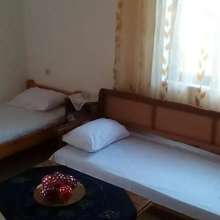 Holiday Zejneli *