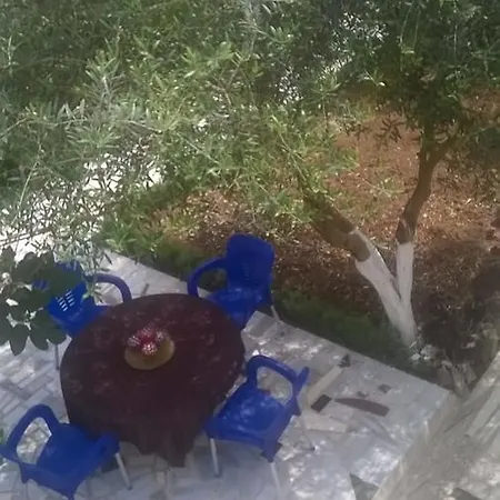 Holiday Zejneli