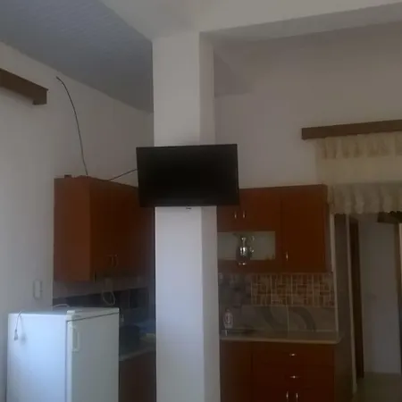 Holiday Zejneli *